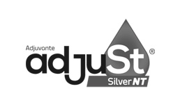 Adjust Silver NT